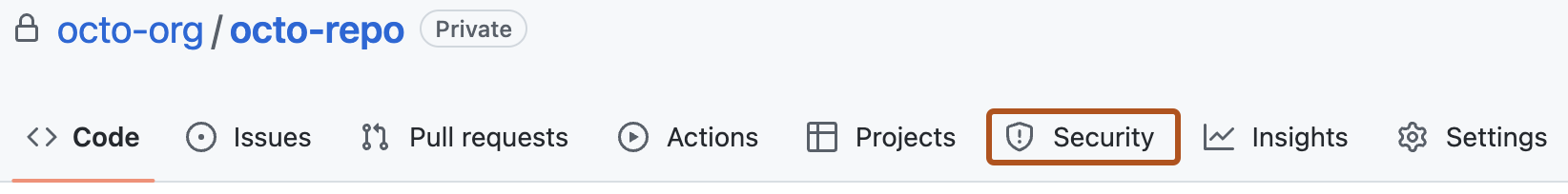 存储库标头的屏幕截图，其中显示了选项卡。 “安全性”选项卡以深橙色边框突出显示。