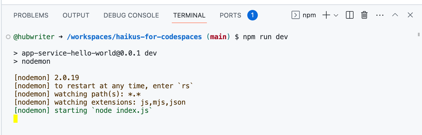 该屏幕截图显示了 VS Code 中的终端，其中输入了“npm run dev”命令。